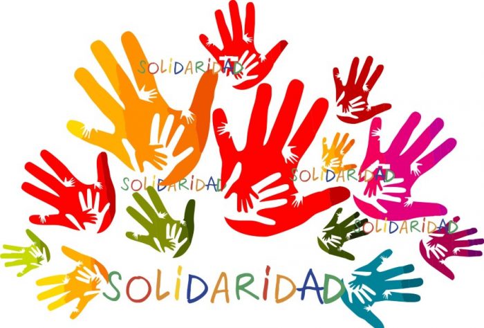 solidaridad resumen web